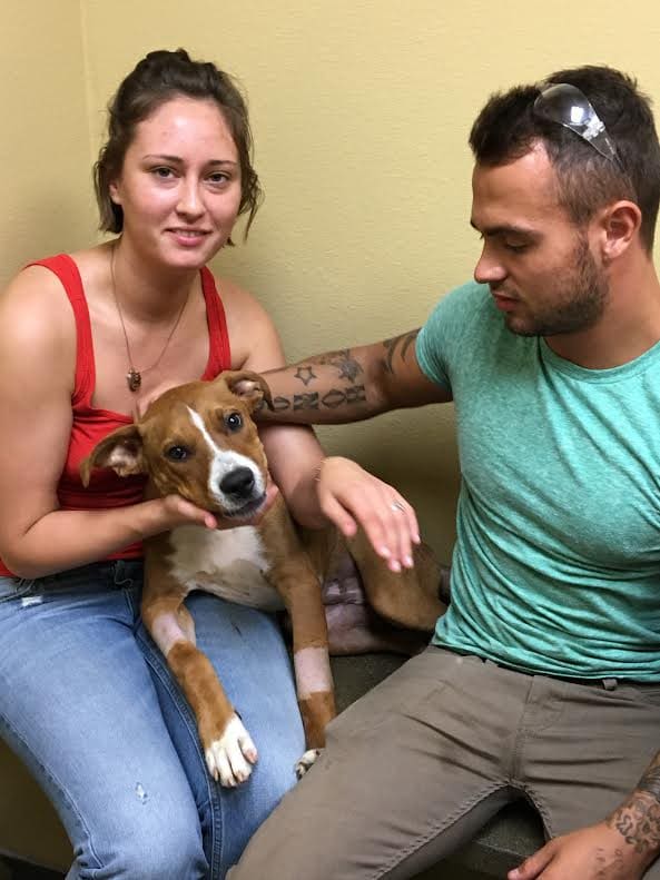 A man and woman holding a dog in their arms.